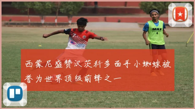 西蒙尼盛赞汉茨科多面手小蜘蛛被誉为世界顶级前锋之一