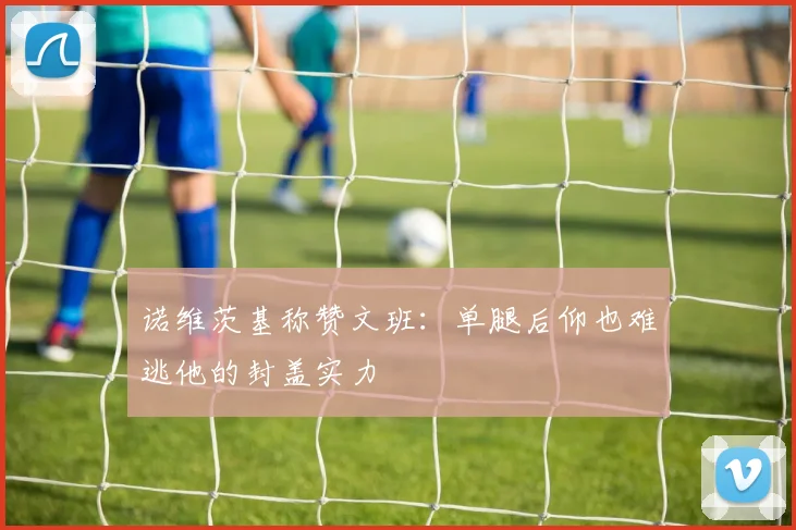 诺维茨基称赞文班：单腿后仰也难逃他的封盖实力